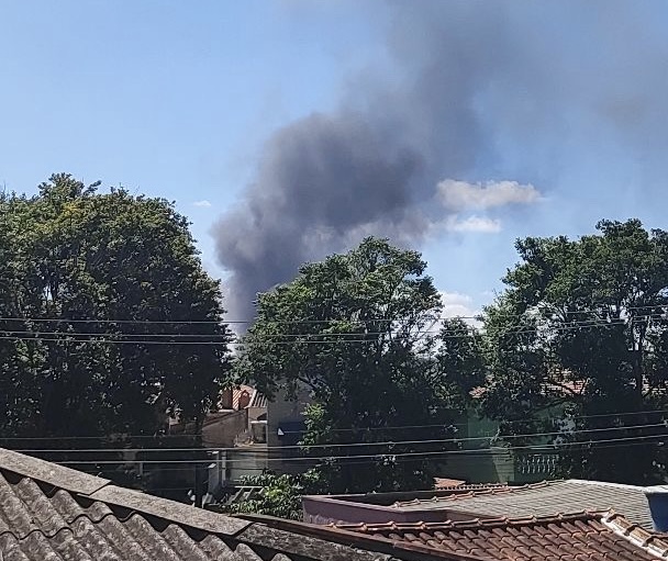 Imagem reprodução/ Arquivo pessoal: Thania Strina