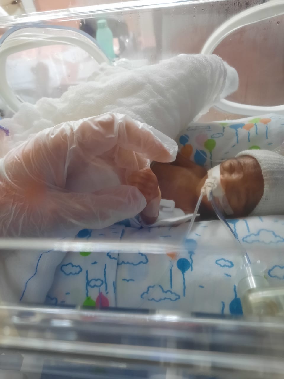 bebê dentro de incubadora