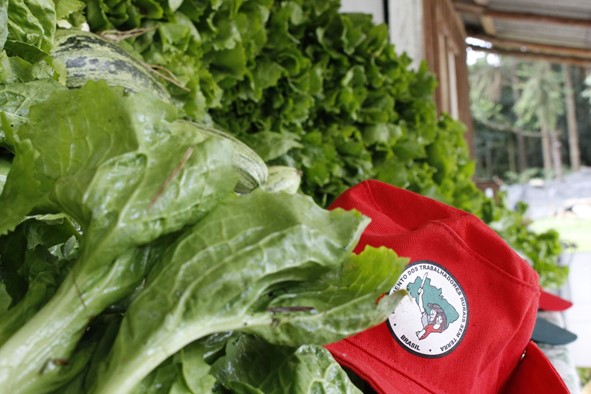 Um boné do MST, Movimento dos Trabalhadores Rurais Sem Terra, em meio a verduras.