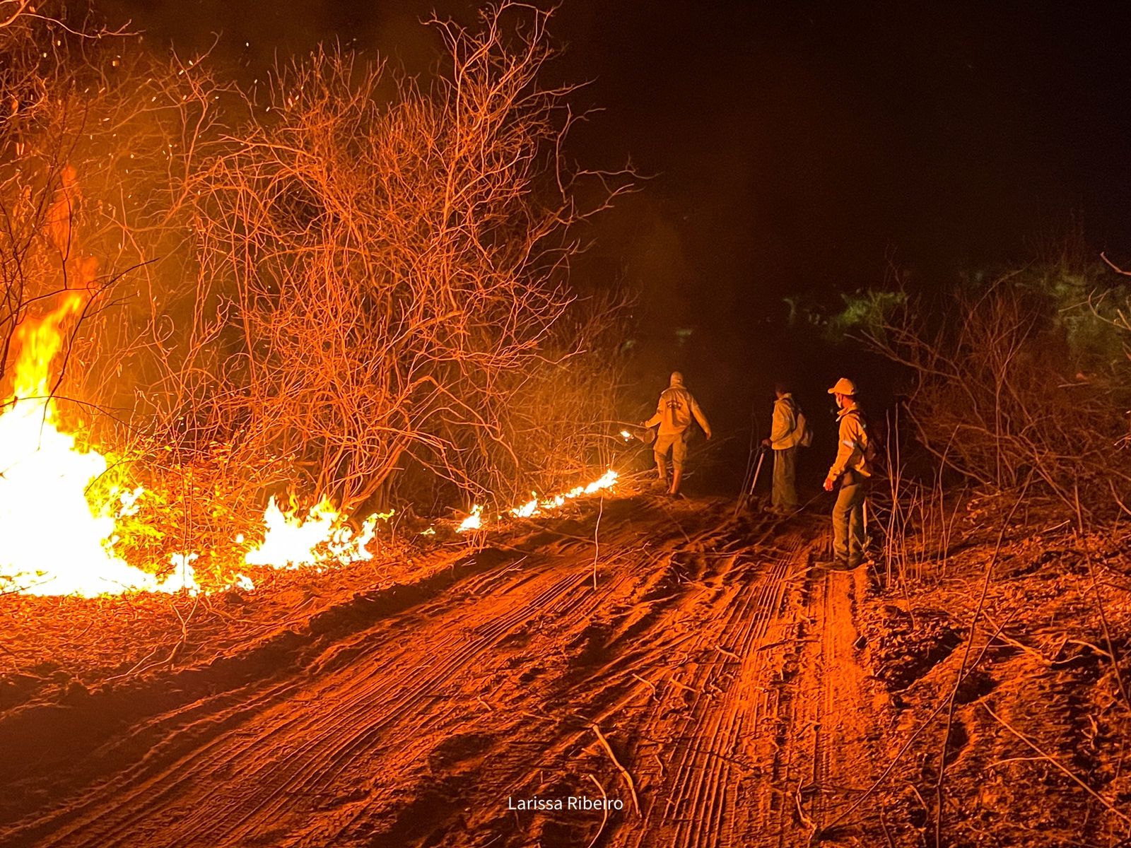 bombeiros tentando conter as chamas na região/ Foto: Larissa Ribeiro (assessora municipal)