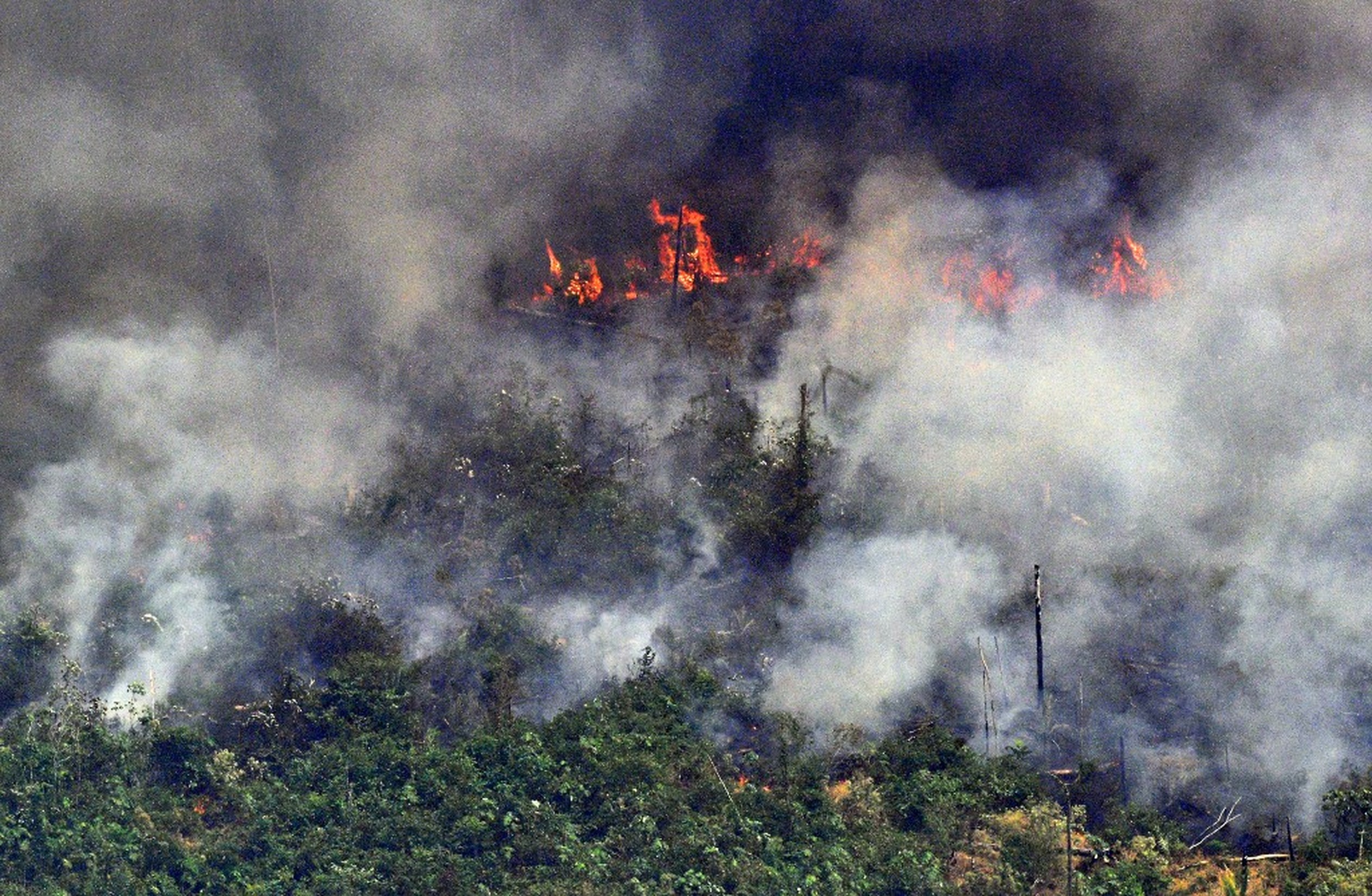 Queimadas na Amazônia - Foto aérea mostra fumaça em trecho de 2 km de extensão de floresta, a 65 km de Porto Velho, em Rondônia — Foto: Carl de Souza/AFP