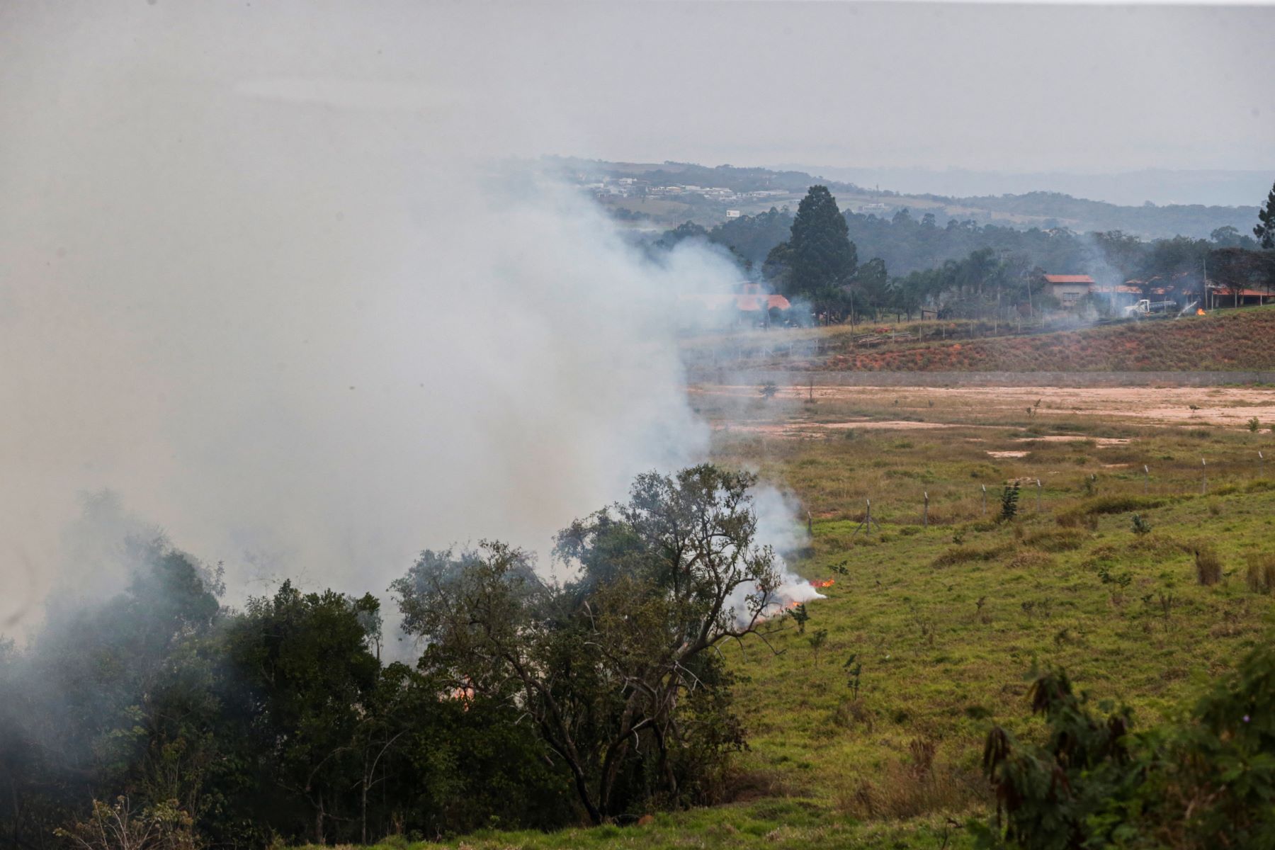 região de mata pegando fogo