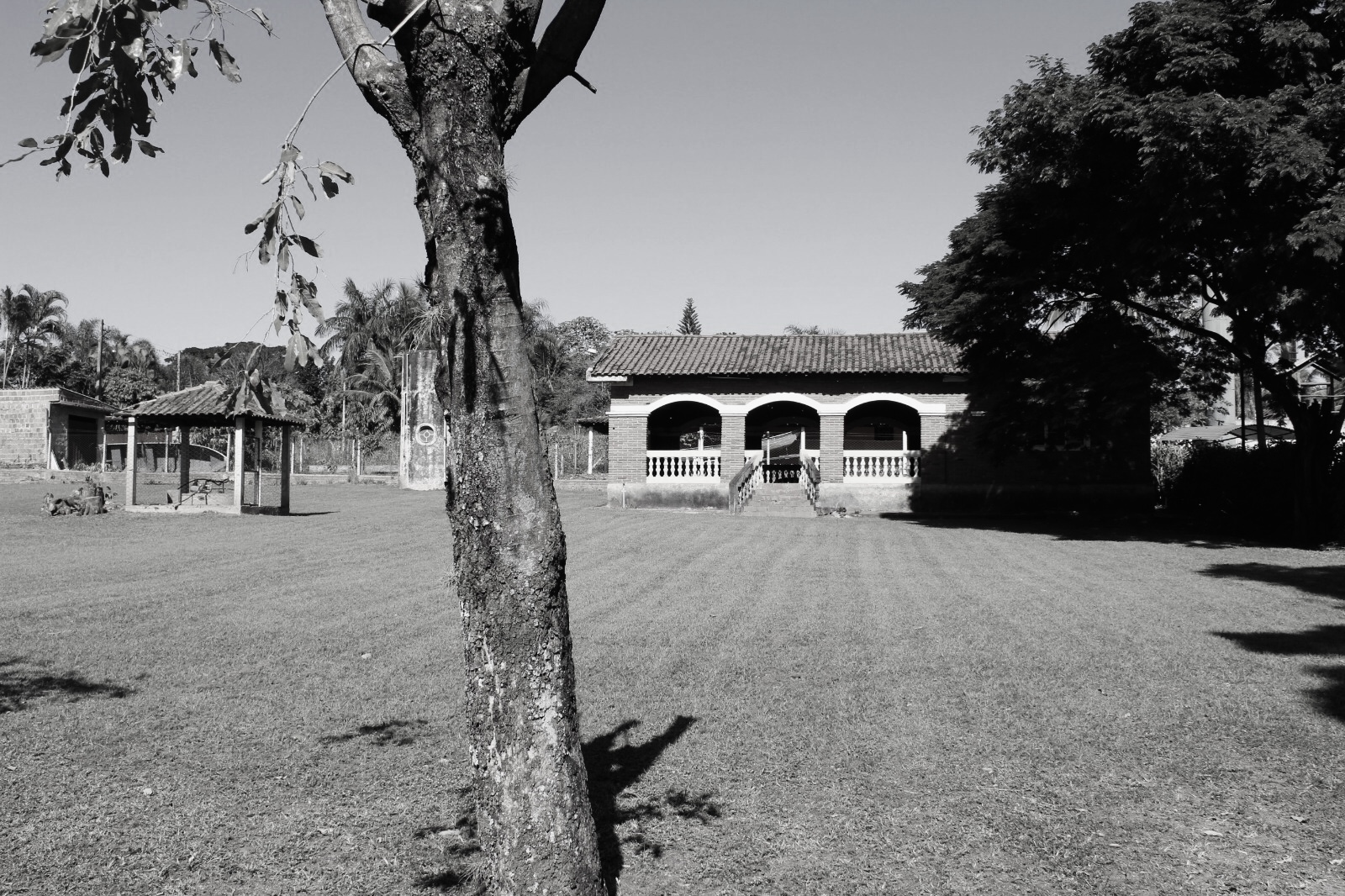 casa e jardim abandonado