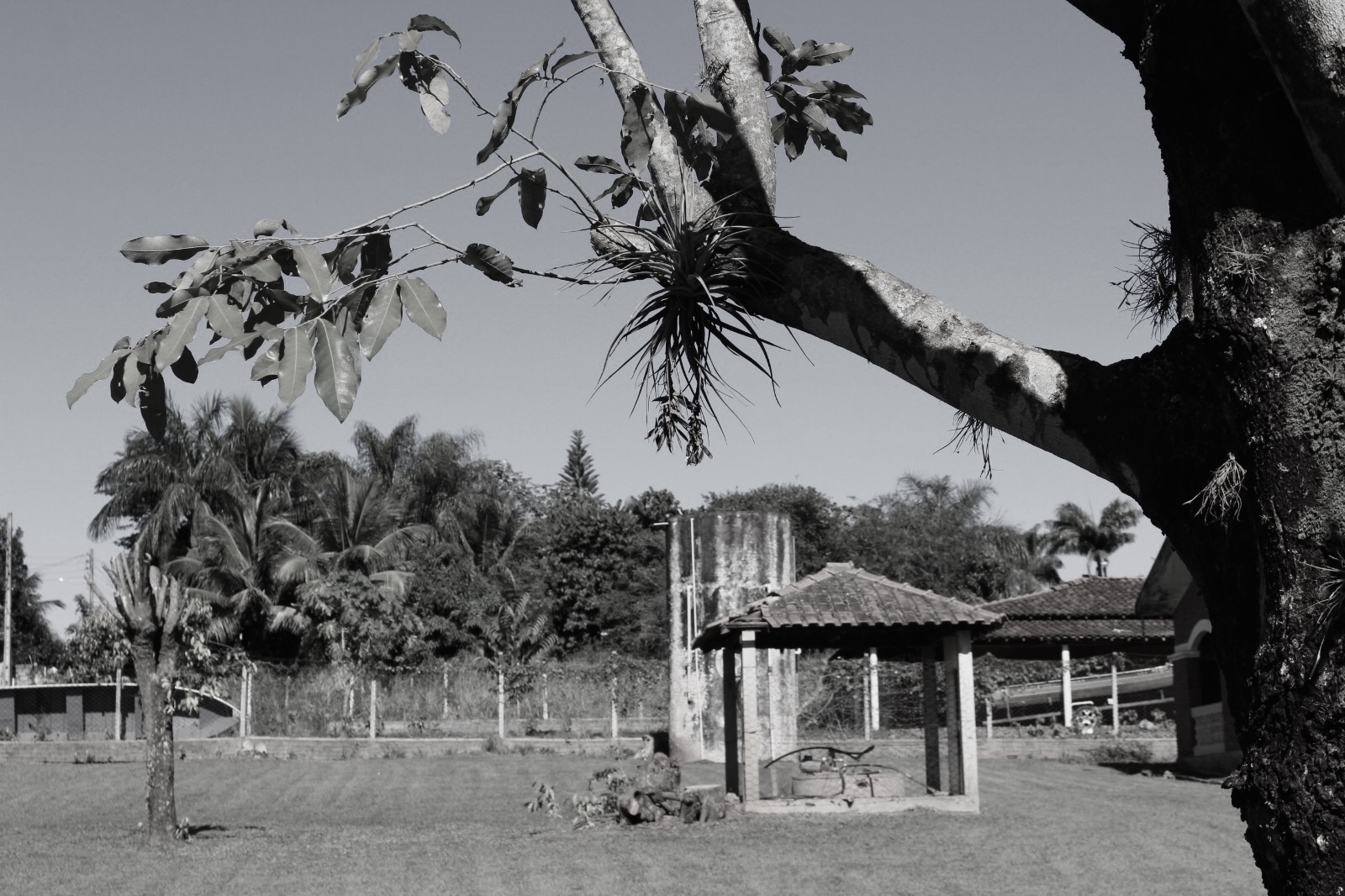 casa abandonada em preto e branco