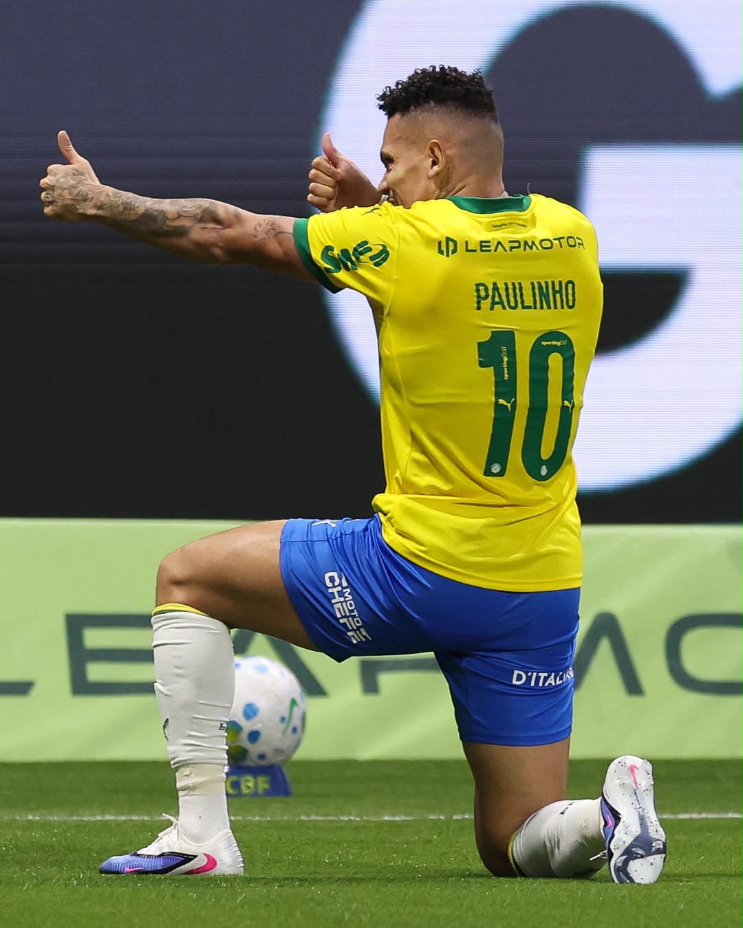 A imagem mostra Paulinho, do Palmeiras, emocionado