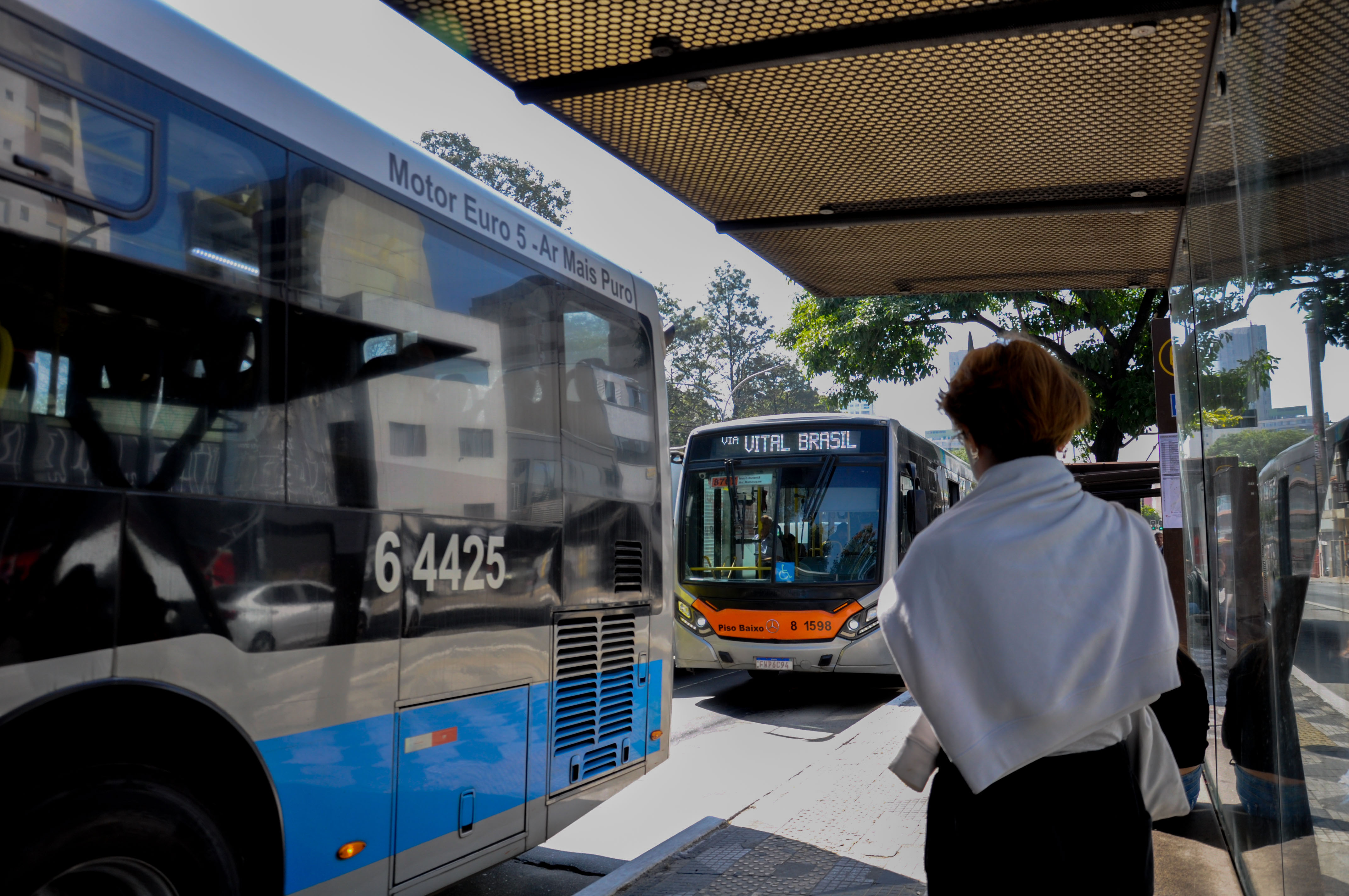 sobrevivência urbana