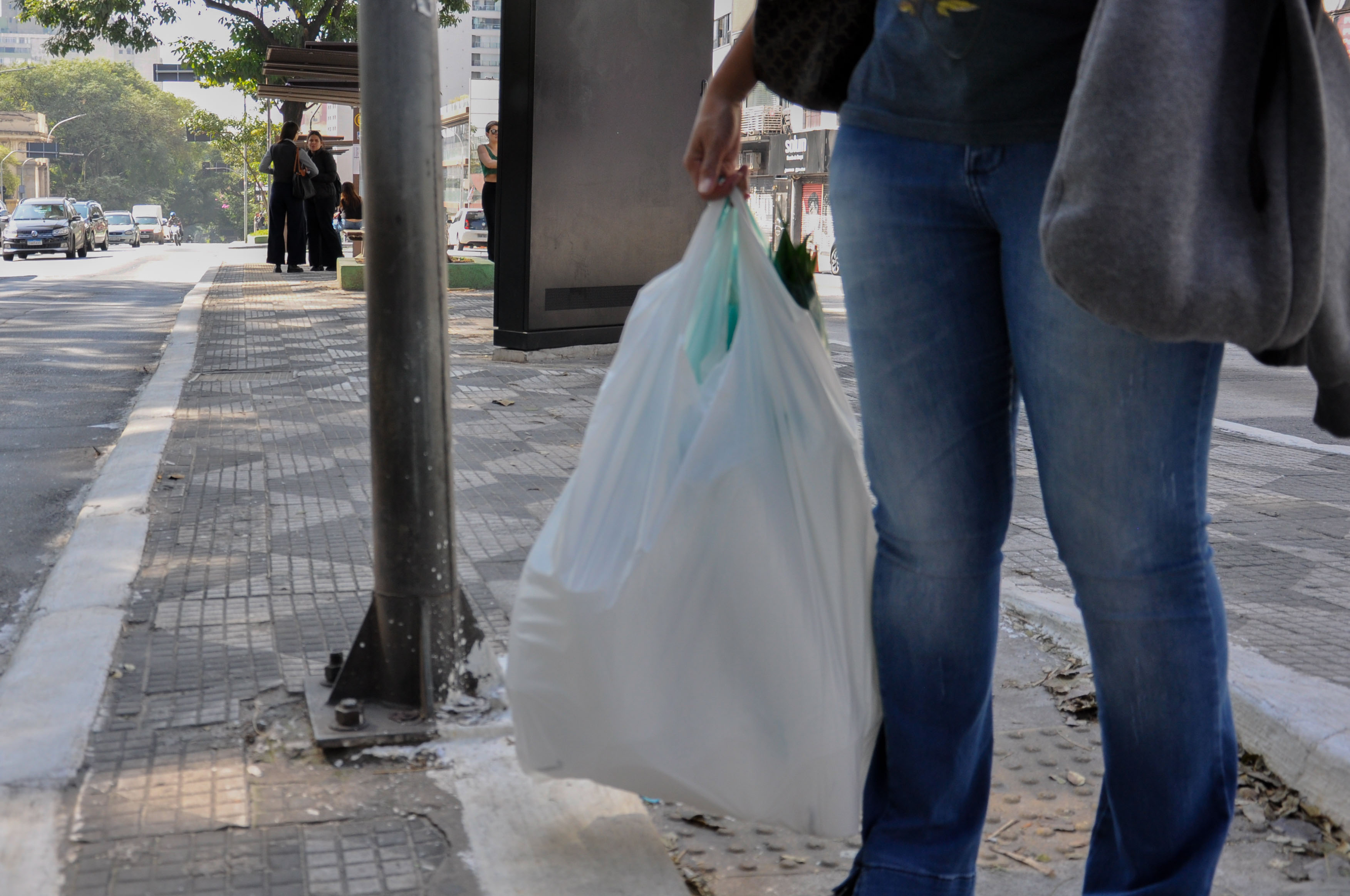 sobrevivência urbana