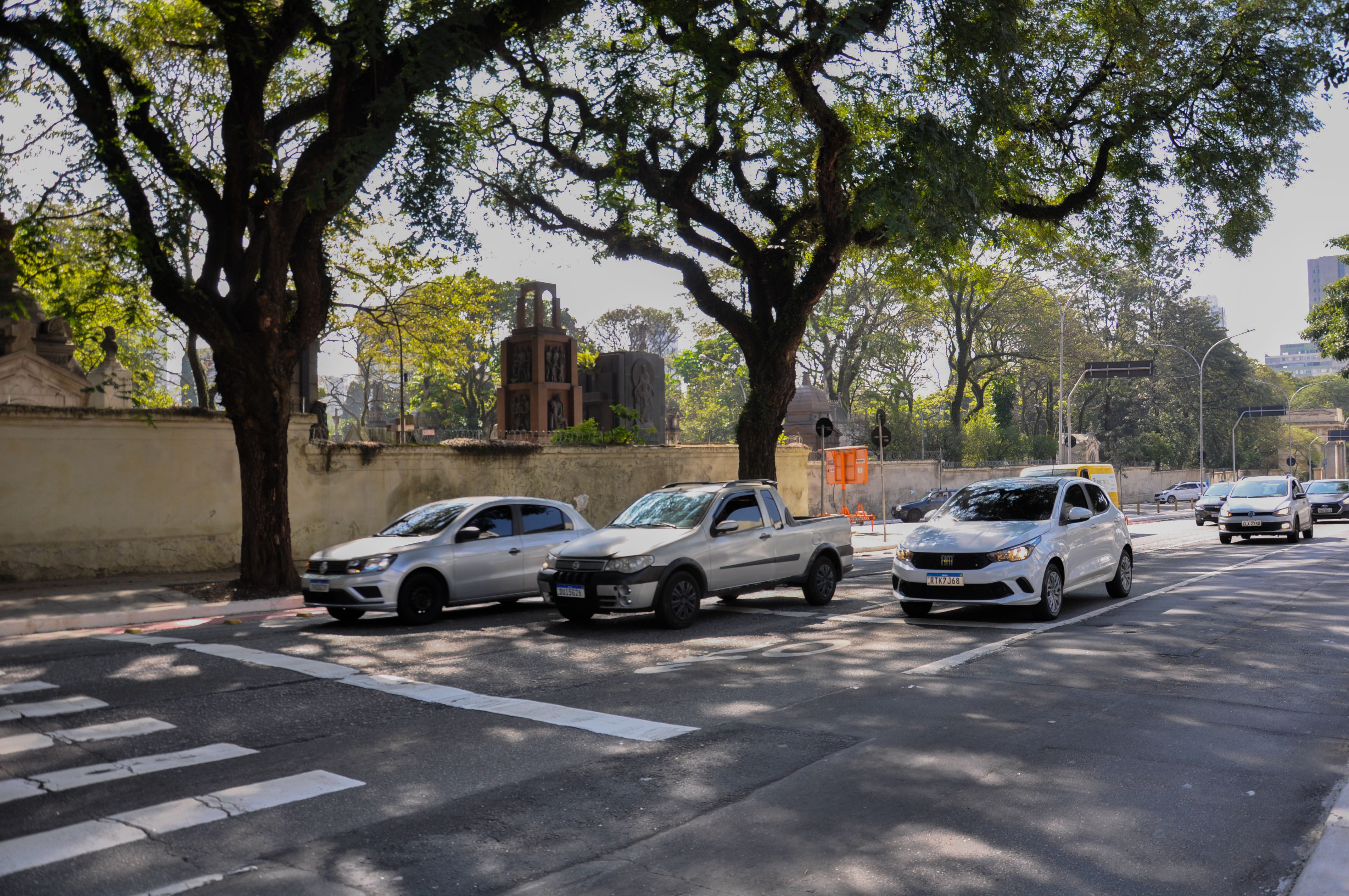 sobrevivência urbana