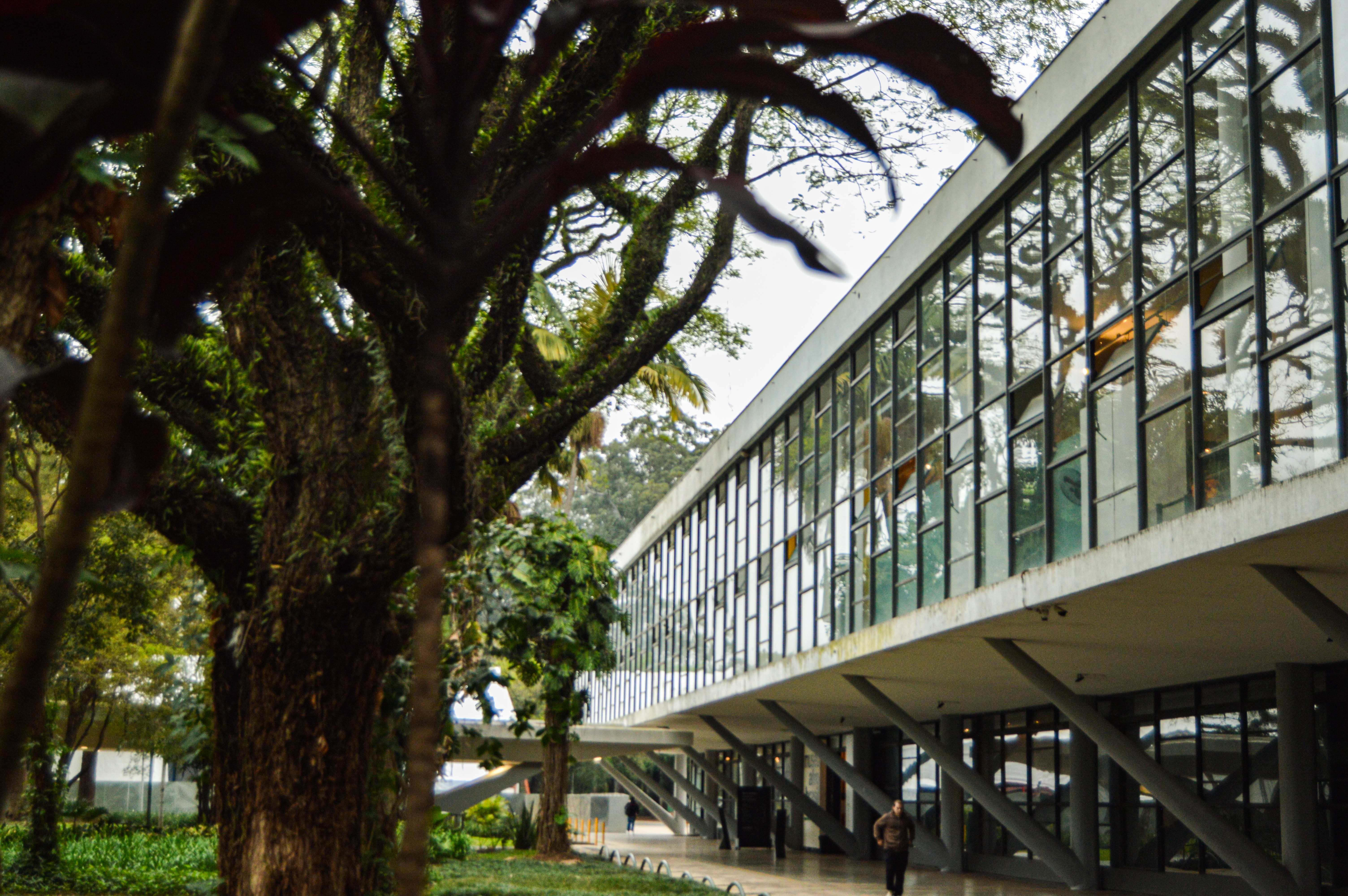  O Museu Afro Brasil é mais uma enorme estrutura de concreto armado que, apesar da brutalidade e do tamanho exorbitante, se encaixa suavemente na delicada natureza do Ibirapuera 