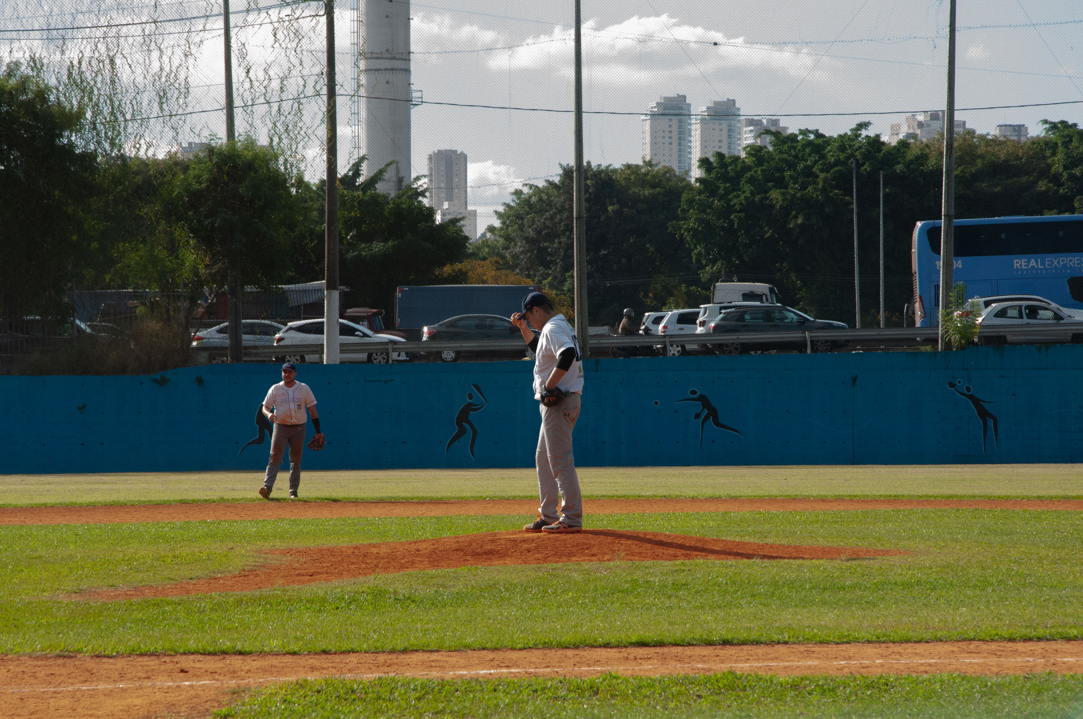 Para além dos Yankees, beisebol tem público cativo no Brasil