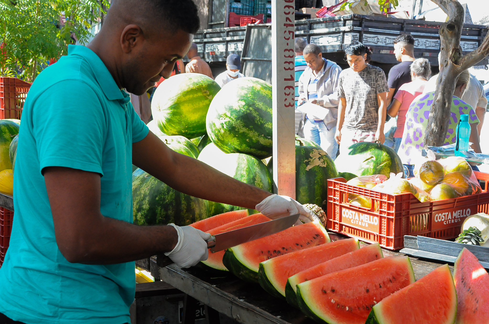 Vermelha, doce e gigante: a melancia é o coração das bancas nas feiras paulistanas.