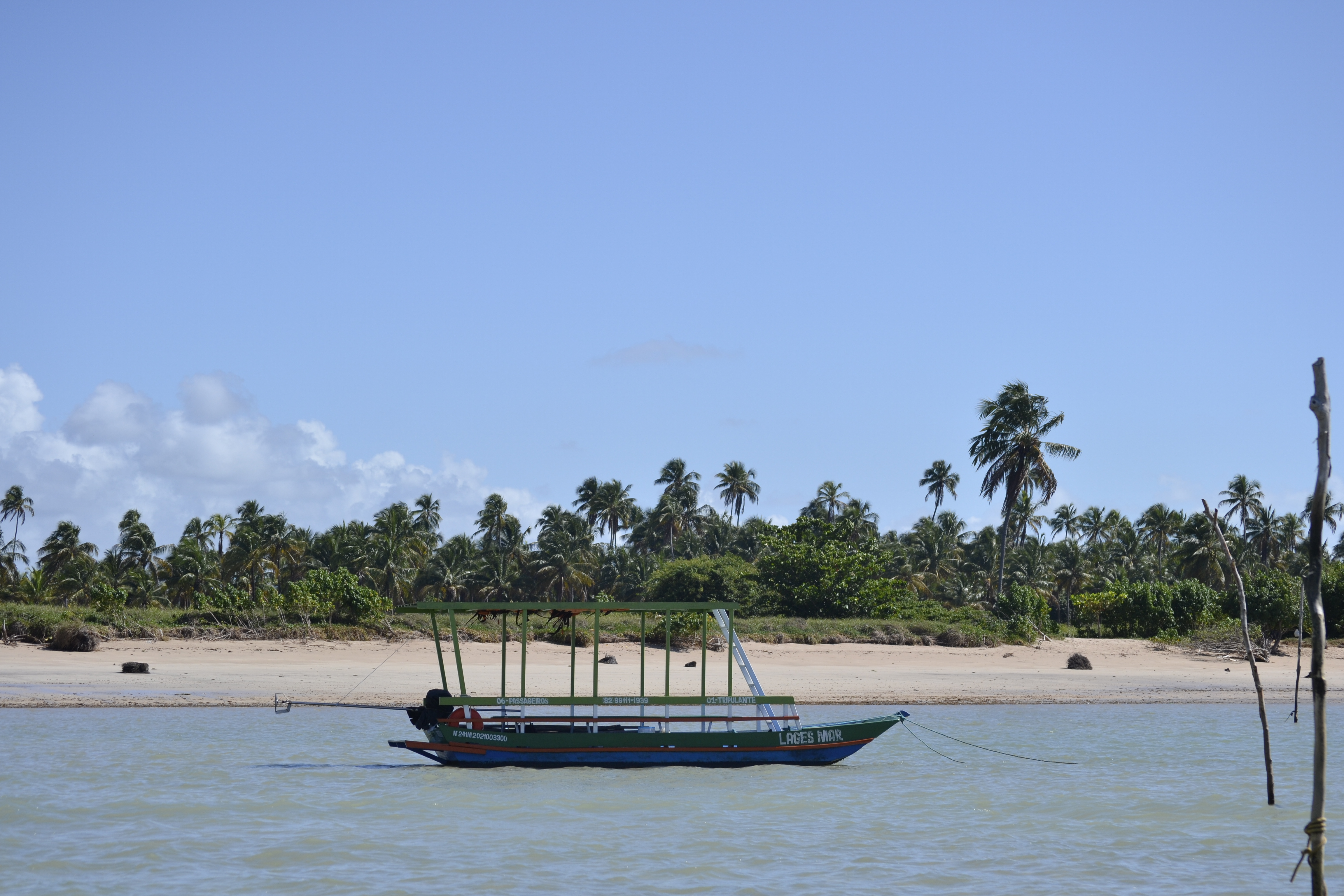 Jangada azul e verde no mar e, ao fundo, uma praia com uma mata verde.