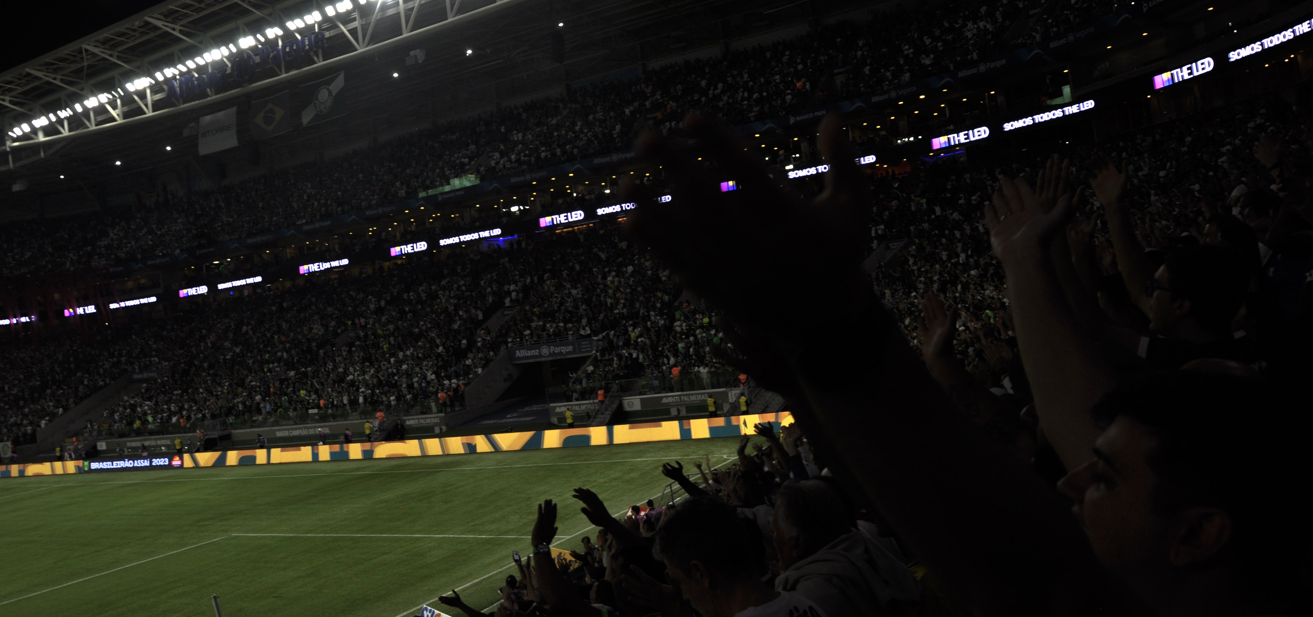 Torcedores do Palmeiras comemorando a vitória no clássico. Foto: Davi Garcia