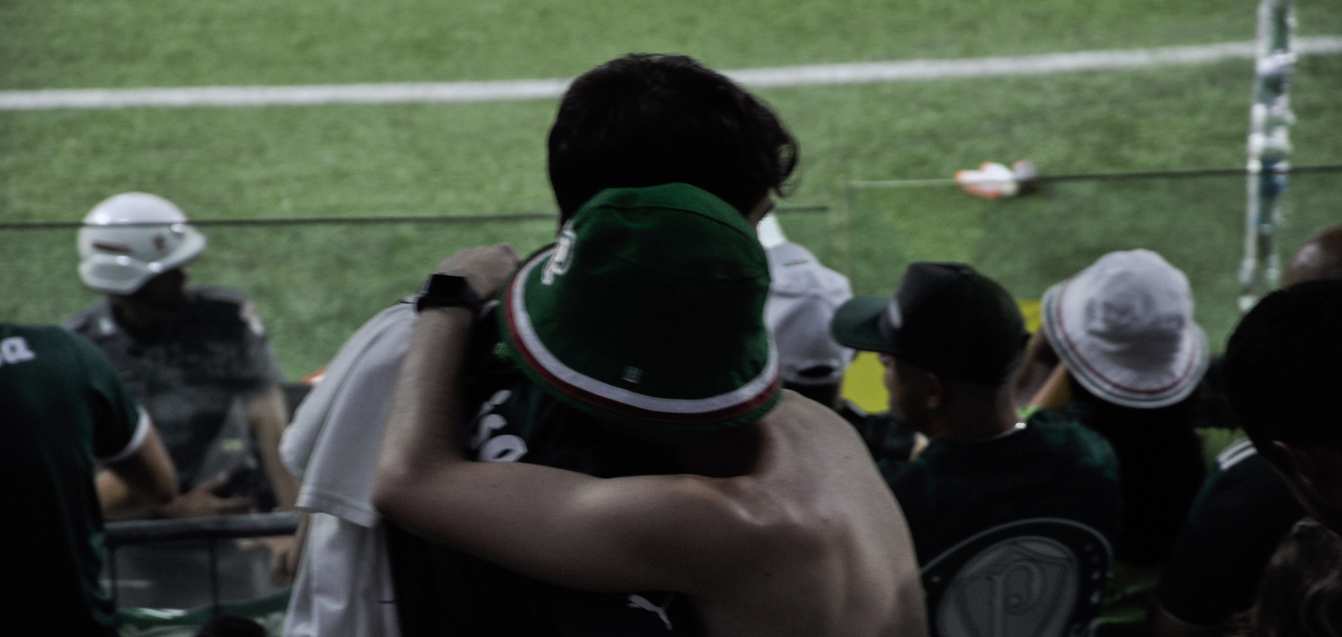 Torcedores do Palmeiras comemorando a vitória no clássico. Foto: Davi Garcia