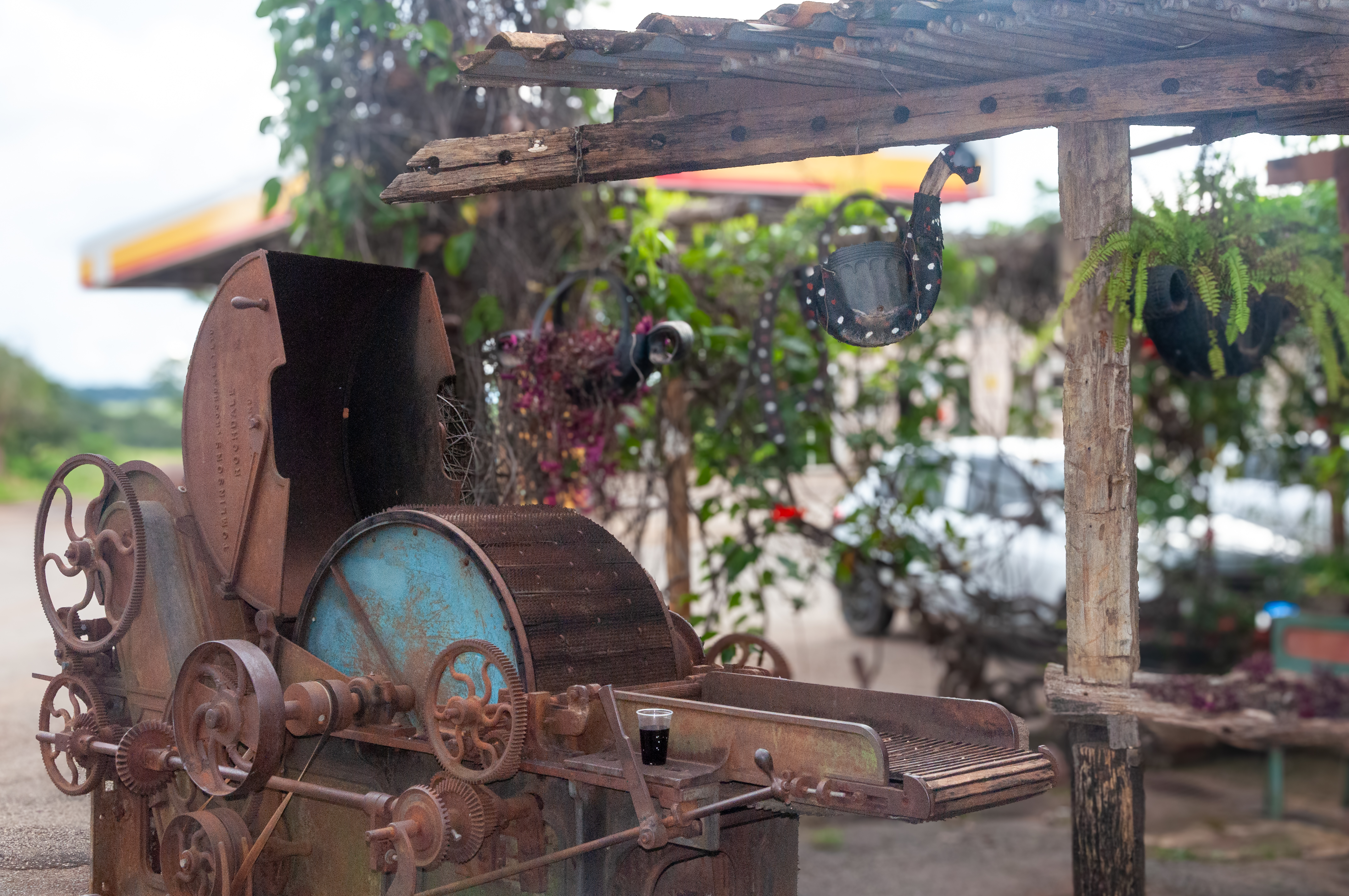 Na saída do Barril 514, um antigo descascador de café enferrujado. O equipamento hoje ocupa o papel de preservar a memória da tradição cafeeira da região. Foto: Laura Petroucic