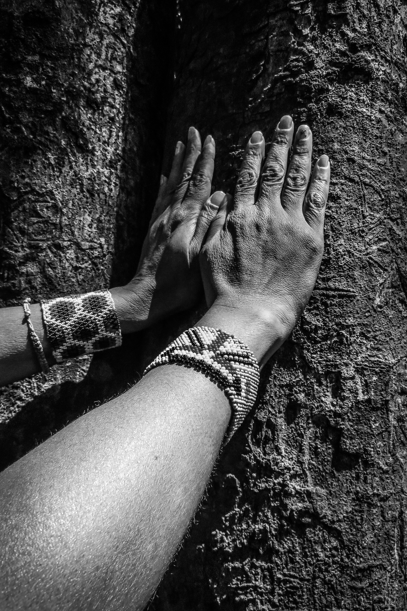 mãos da indígena tocam a árvore 