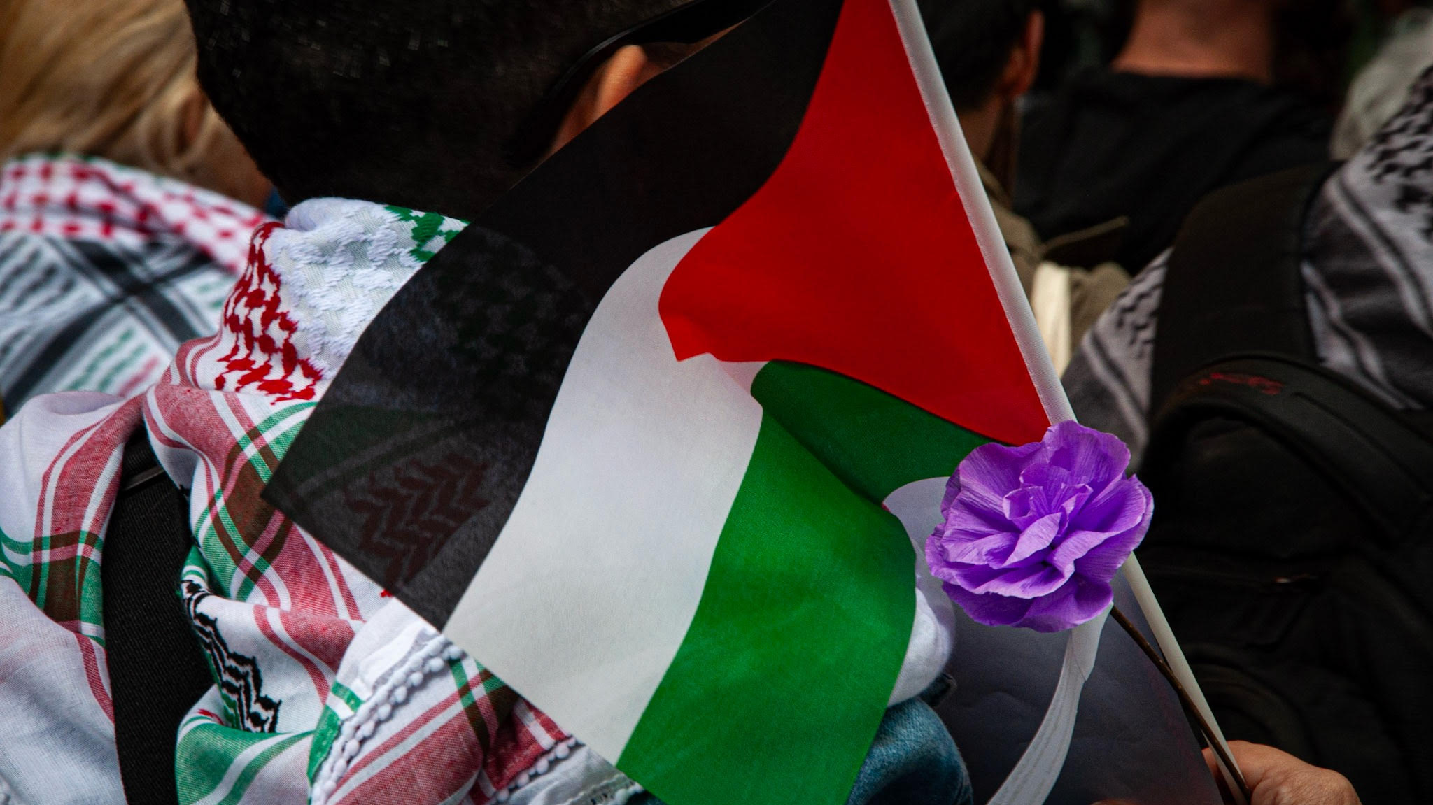 Bandeira Ato Pro Palestina