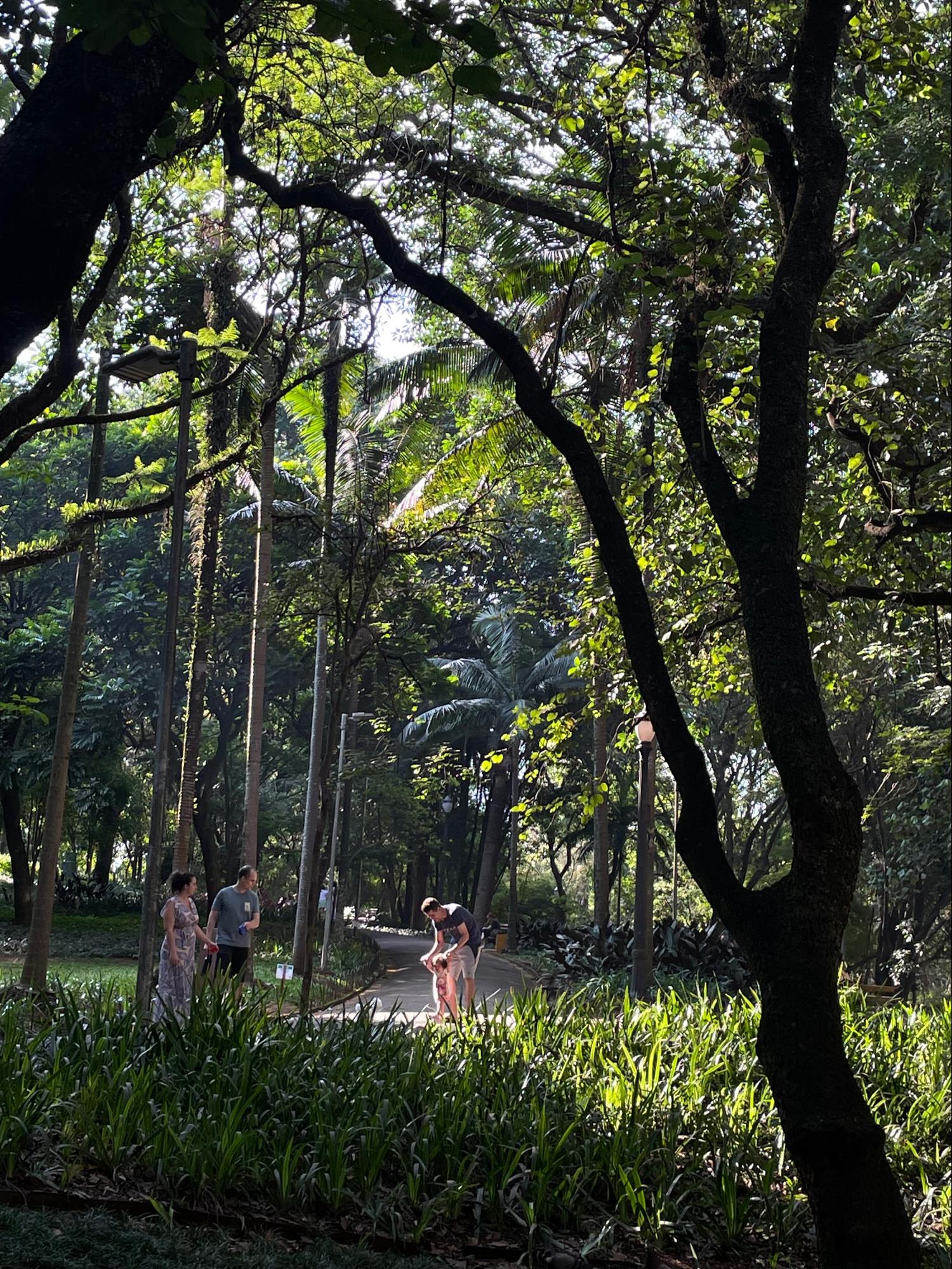 Pessoas passeando no parque