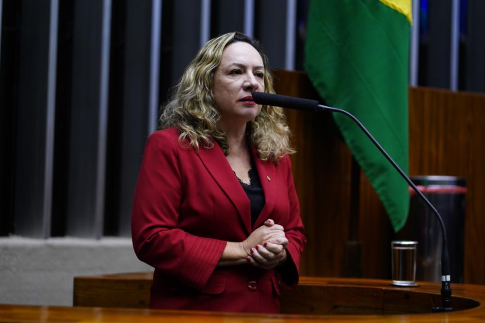 Adriana Accorsi na Câmara dos Deputados  - Foto: Reprodução/Câmara dos Deputados