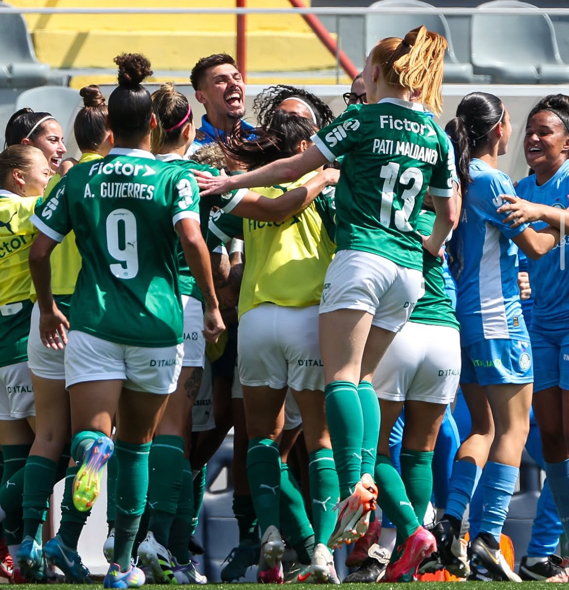 Palmeiras comemorando