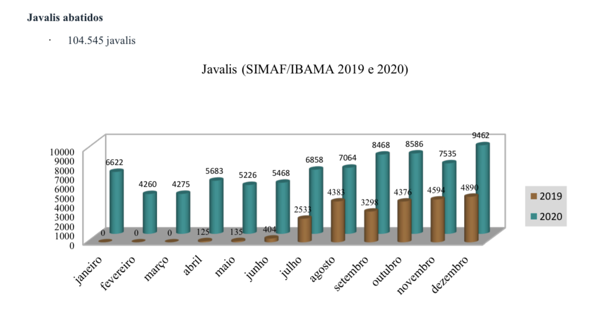Tabel Gráfica - Javalis Abatidos (SIMAF/IBAMA 2019 e 2020)