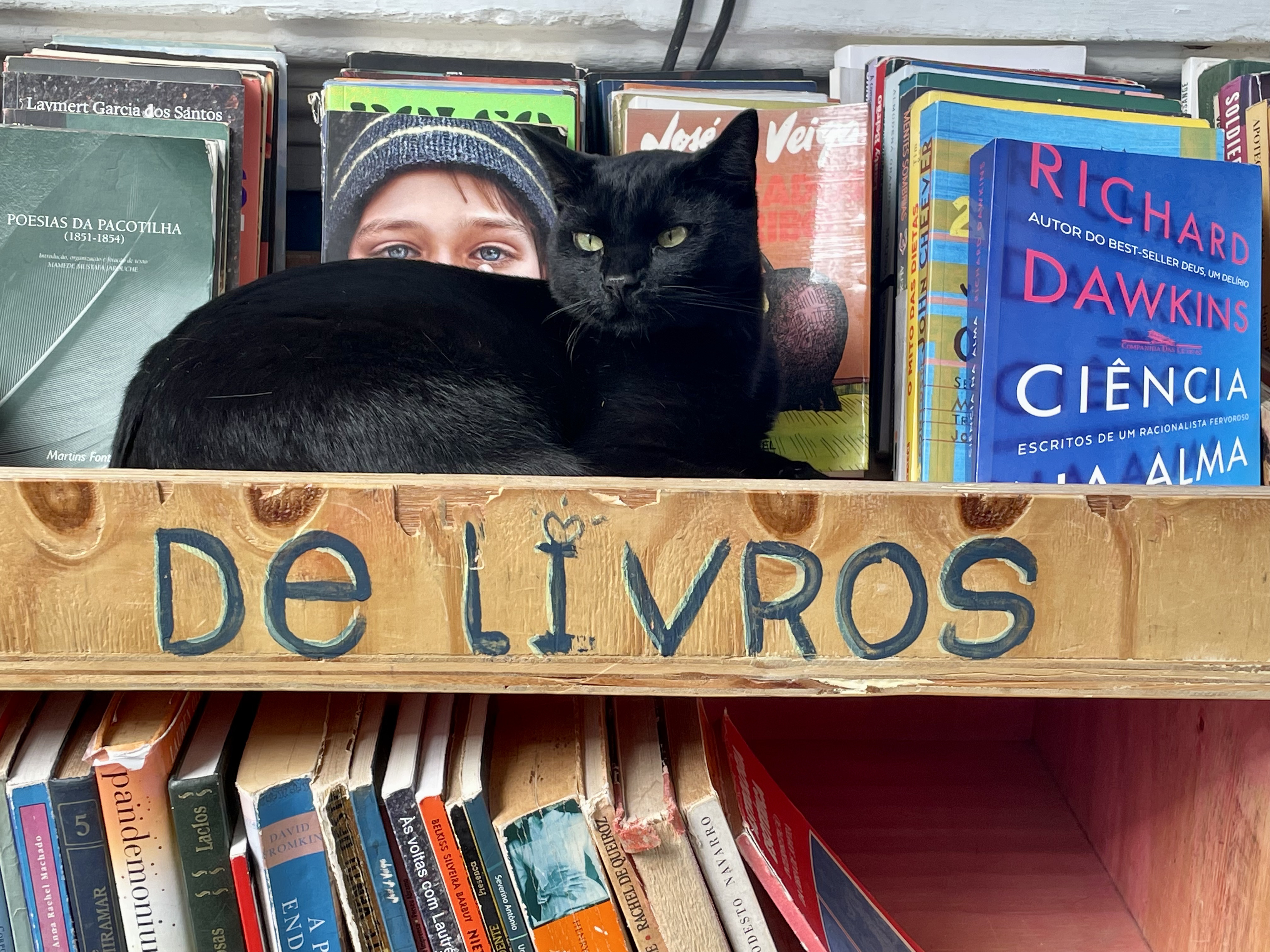 Quem visita a Livraria Simples tem a chance de conhecer Toninho Basquiat, mascote do estabelecimento. Foto: Gabrielly Mendes
