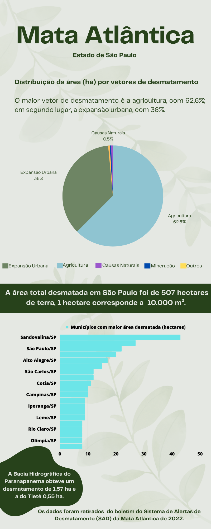 Infográfico sobre o desmatamento da Mata Atlântica em SP, em 2022