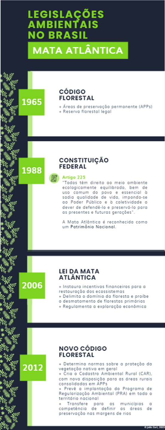 Infográfico: linha do tempo das legislações ambientais brasileiras referentes à Mata Atlântica