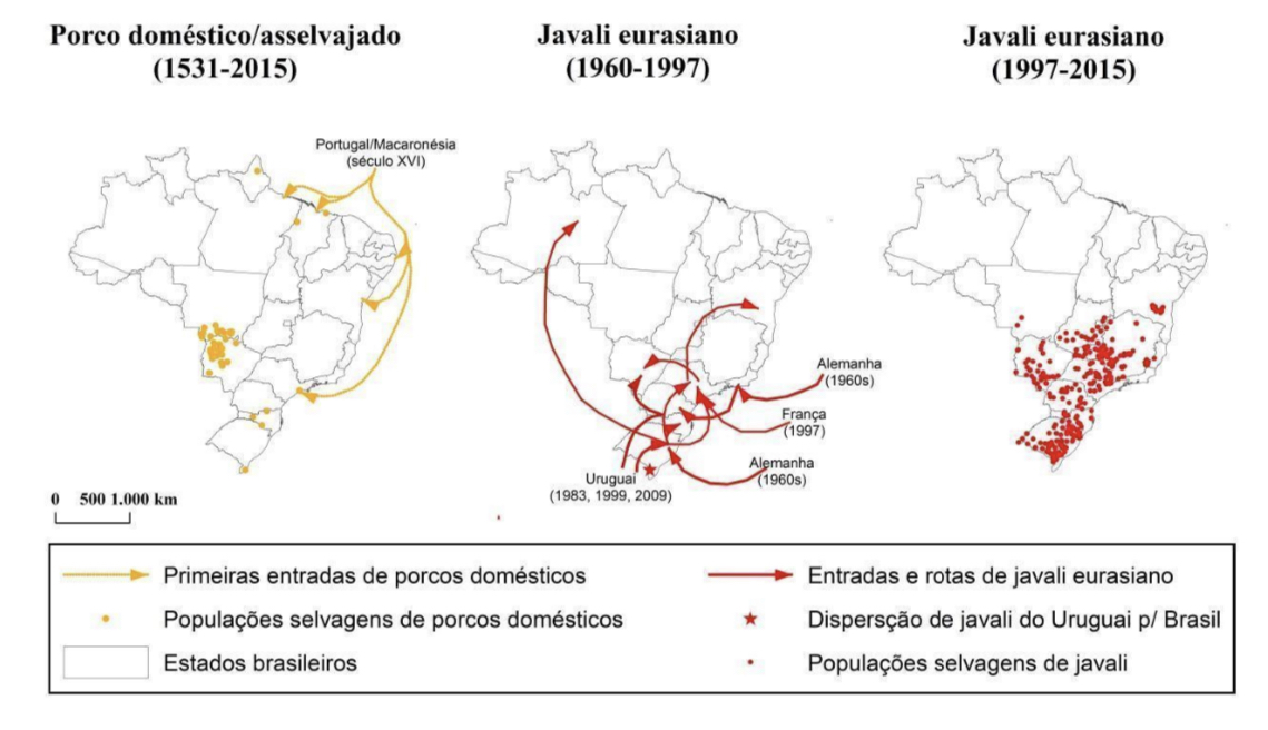 Mapa: Reprodução Plano Nacional de Prevenção, Controle e Monitoramento do Javali (Sus Scrofa) no Brasil  