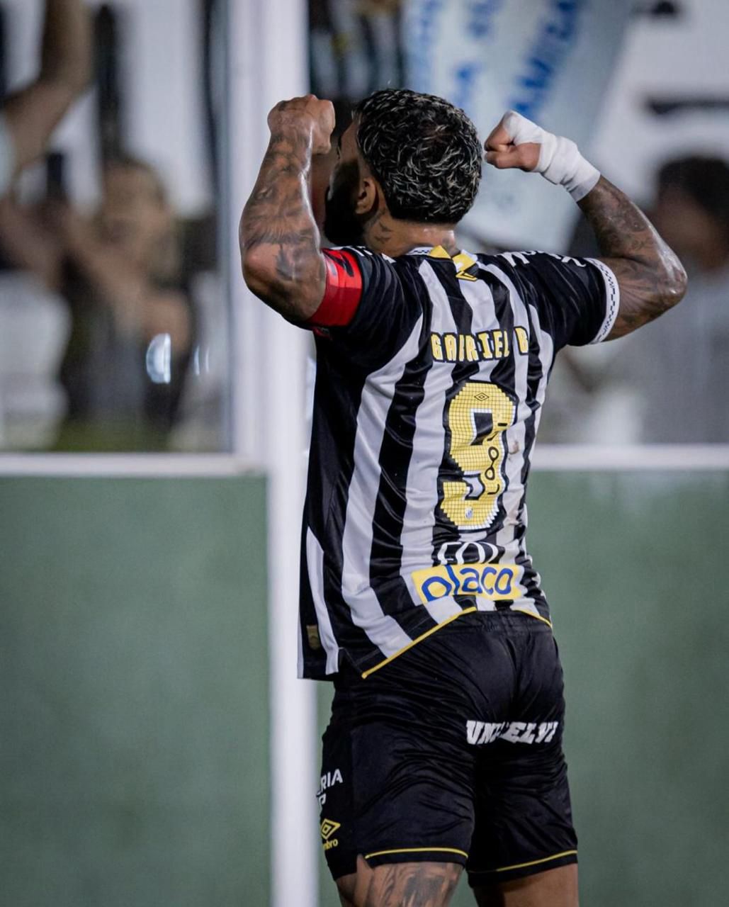 A imagem mostra o jogador Gabriel Barbosa, do Santos, de costas fazendo sua comemoração característica mostrando os bíceps. Na frente do jogador está a torcida.