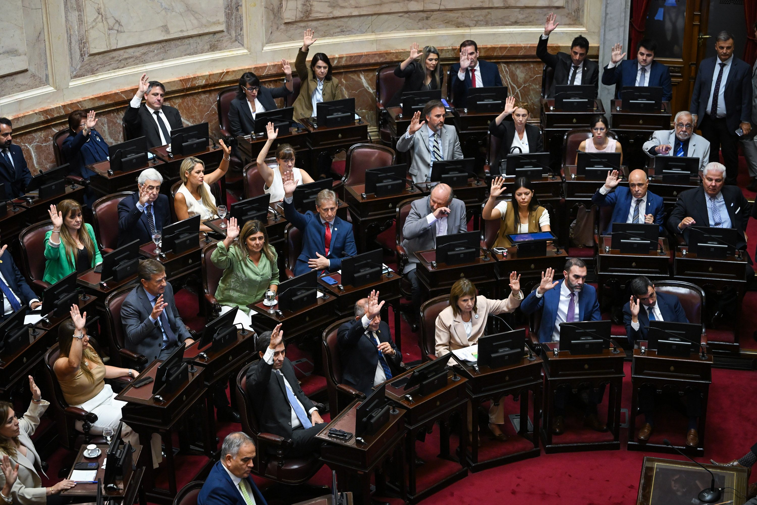 Senado Argentino em uma sessão preparatória Foto: Charly Dìaz Azcue
