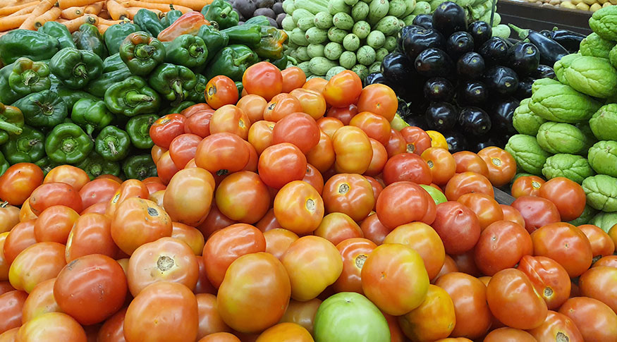 Imagem com tomates vermelhos, pimentões verdes, cenoura, berinjela, abobrinha e chuchu