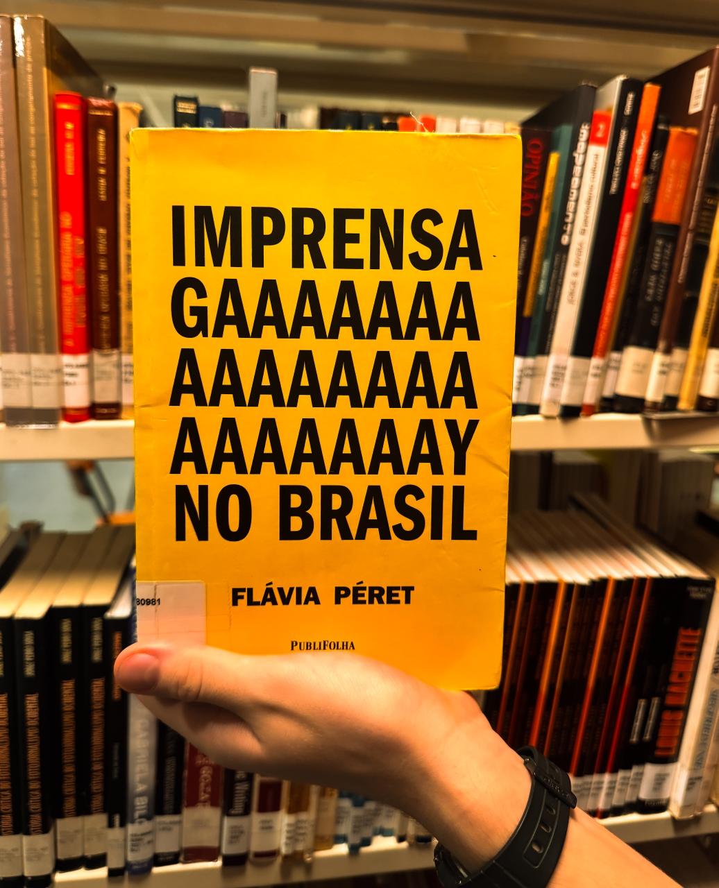 Capa do livro-reportagem, Imprensa Gay no Brasil. Foto: Elisa Almeida/AGEMT