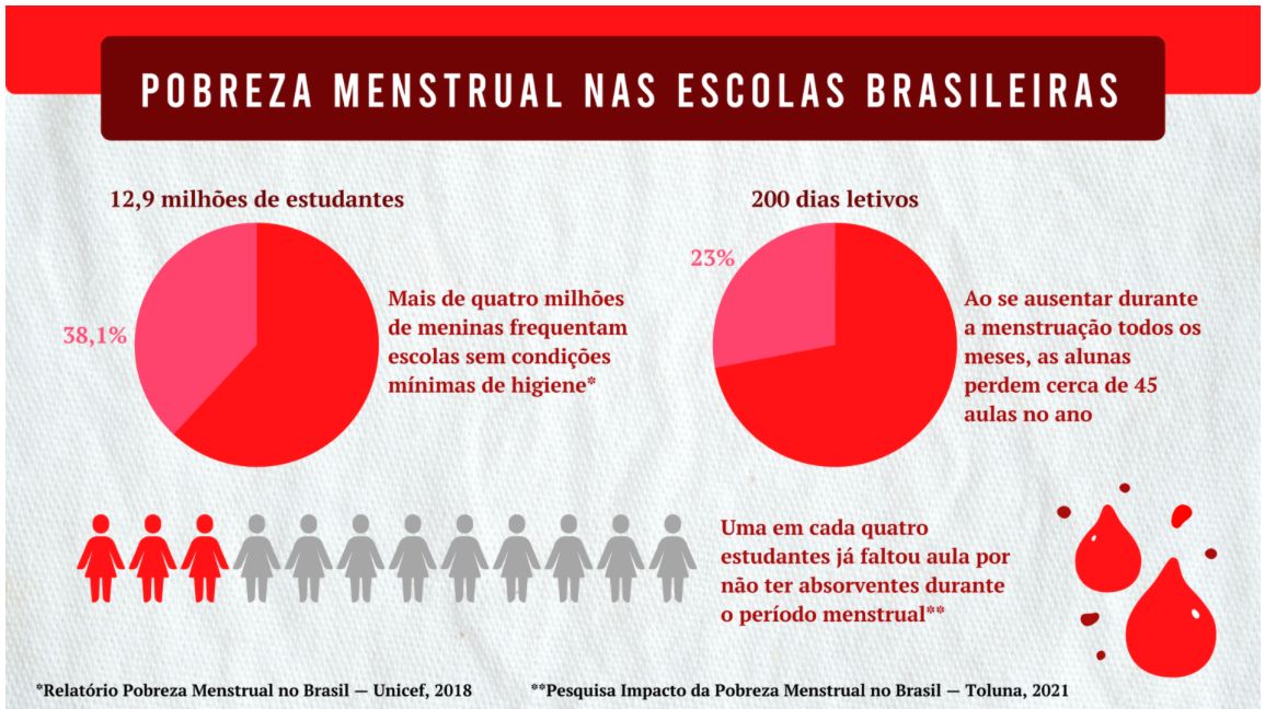 Gráfico com estatísticas sobre a pobreza menstrual