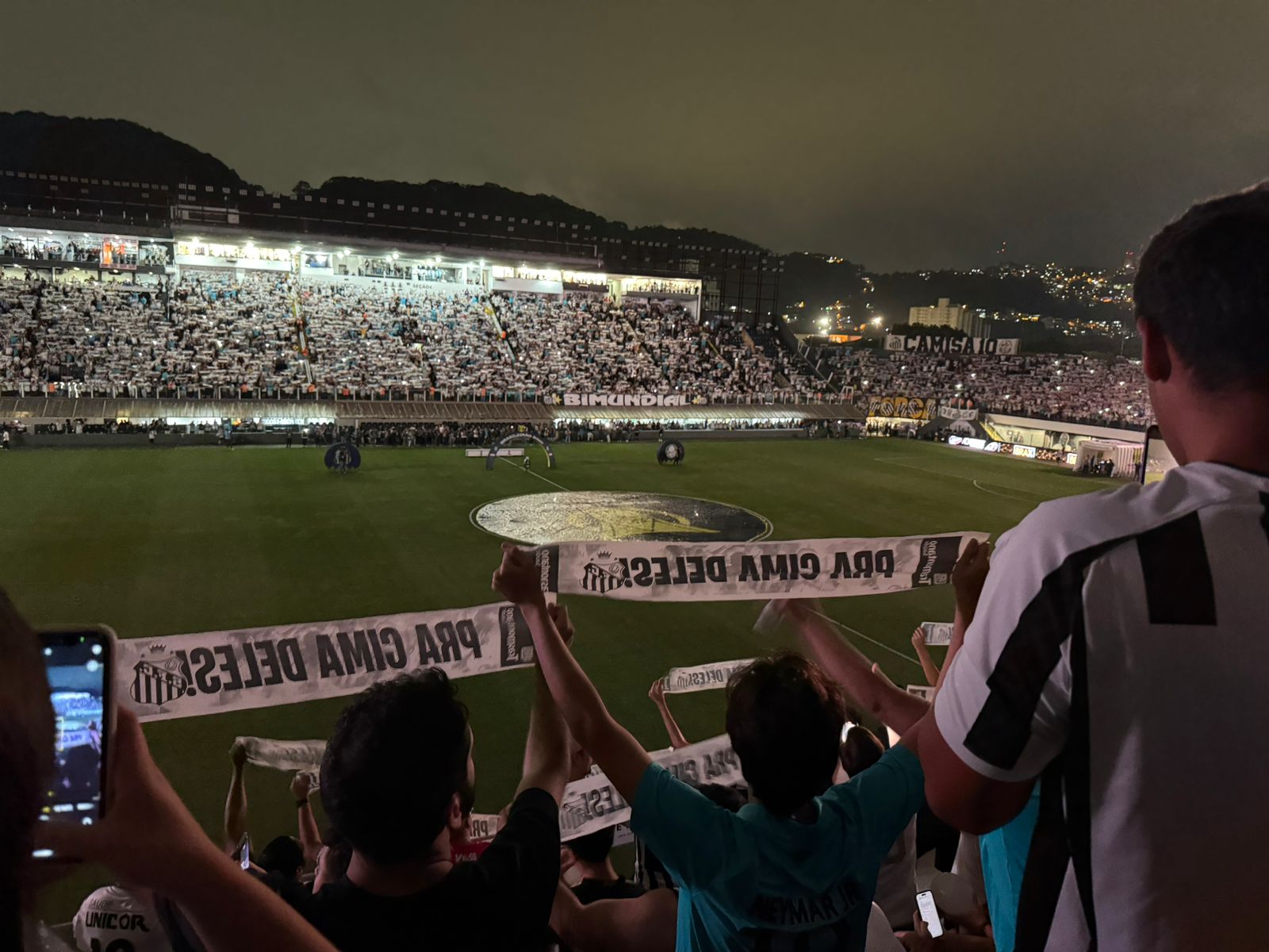  A torcida do Santos bateu recorde de público no ano na Vila Belmiro: 14.651 torcedores. Foto: Lais Romagnoli